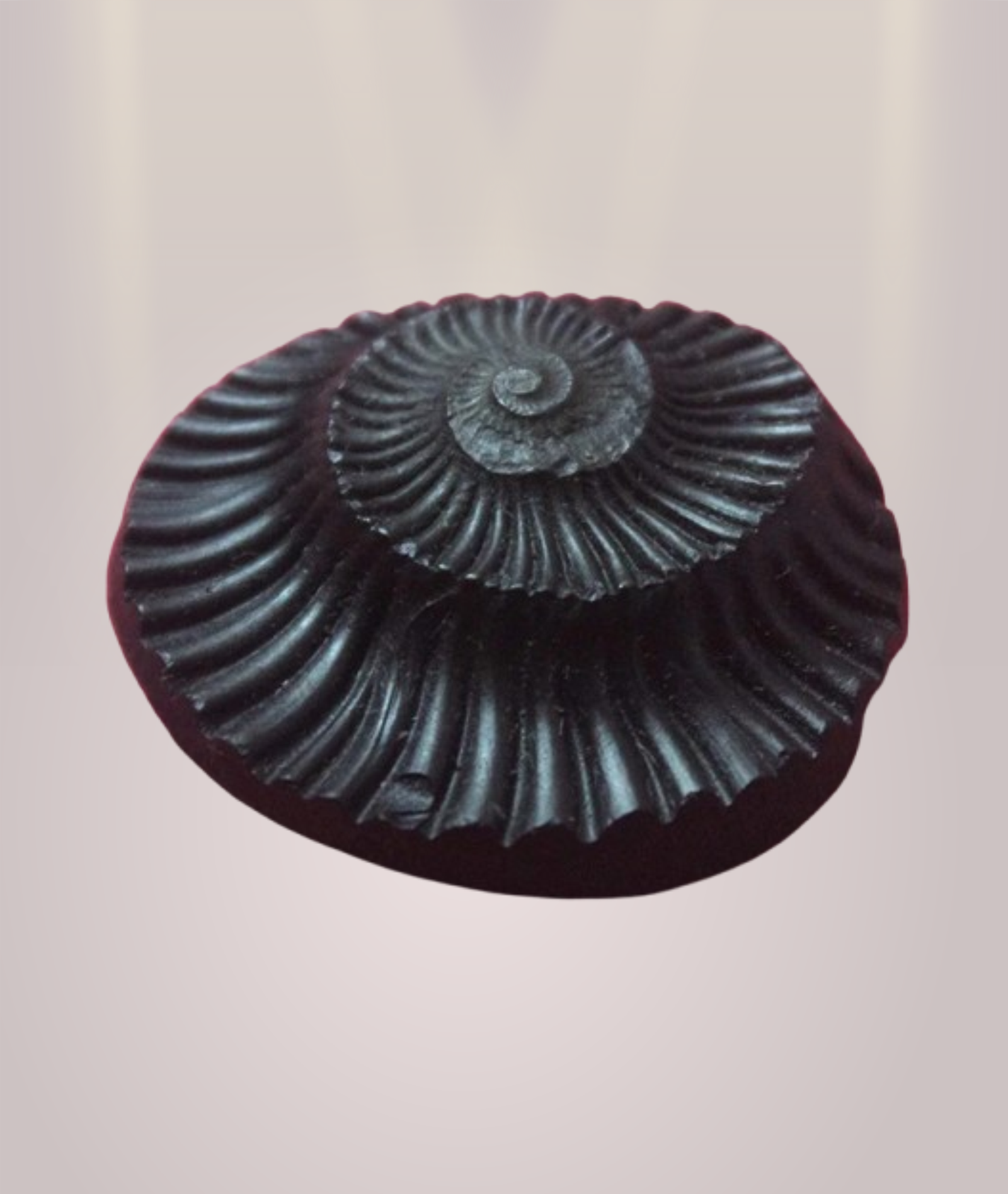 Shaligram